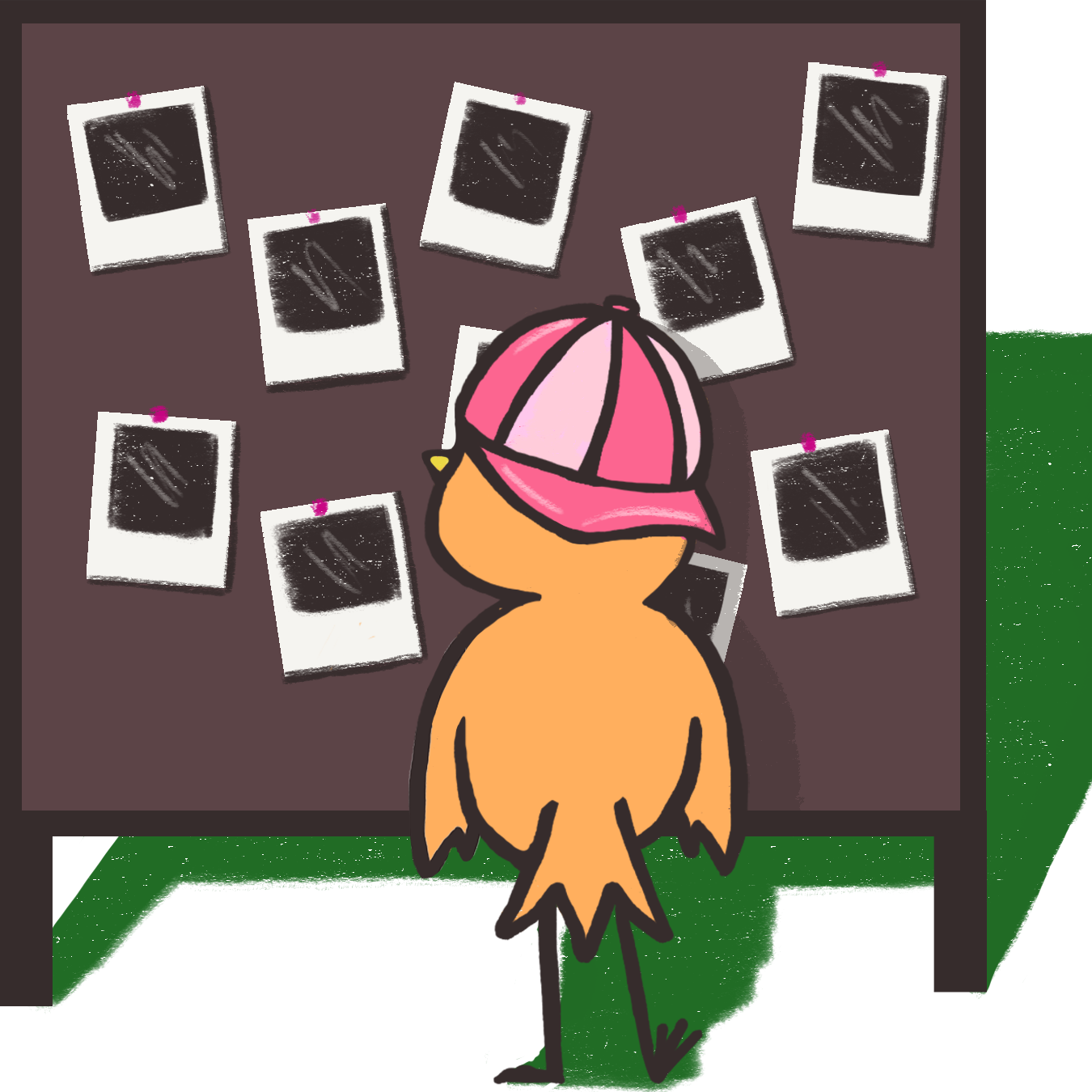 Bird looking at pictures