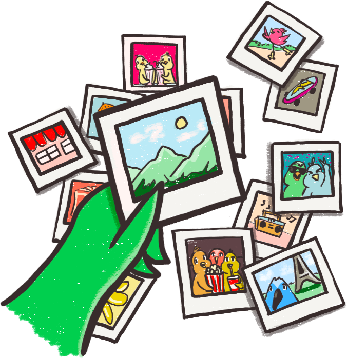 Bird looking at polaroids